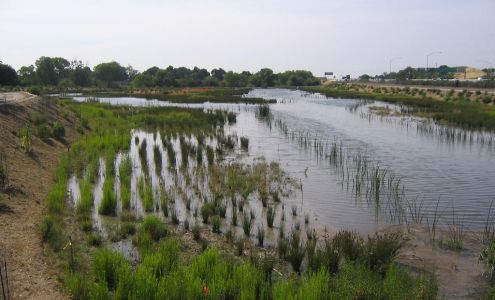 Ecological Concerns Inc.