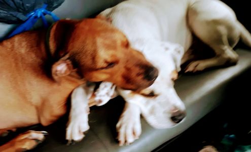 Swanson Towing & Recovery LLC