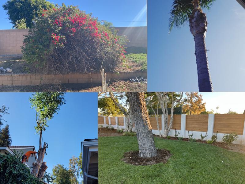 Environmental Green Tree Care/ Killelea Landscape