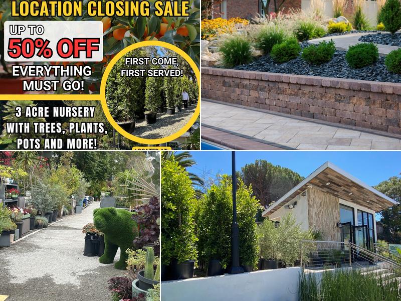 The Standard Design Group Nurseries