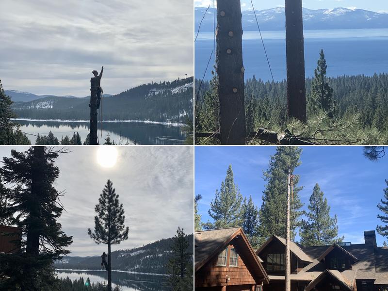 Elevated Tree Experts, LLC