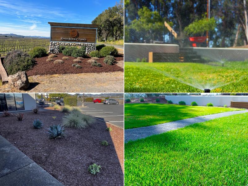 Valley Oak Landscaping