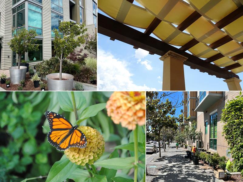 Golden Palm Landscape