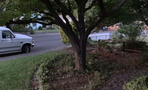 FROM THE GROUND UP 7935 Juntilla ln, Comptche California 95427