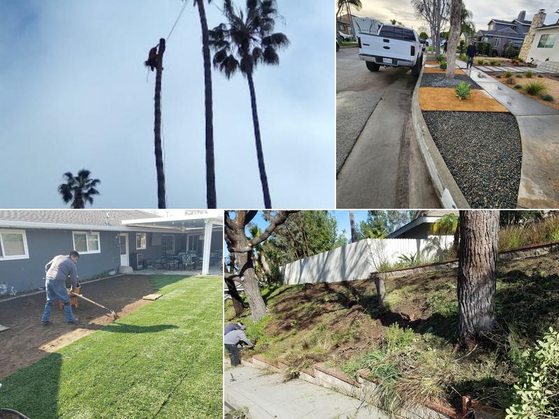 Timberline Tree Works