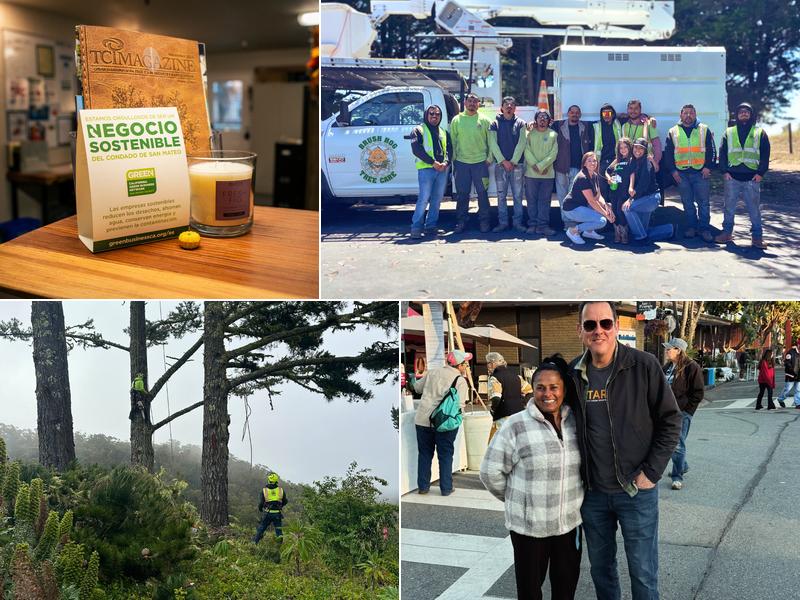 Brush Hog Tree Care Inc.