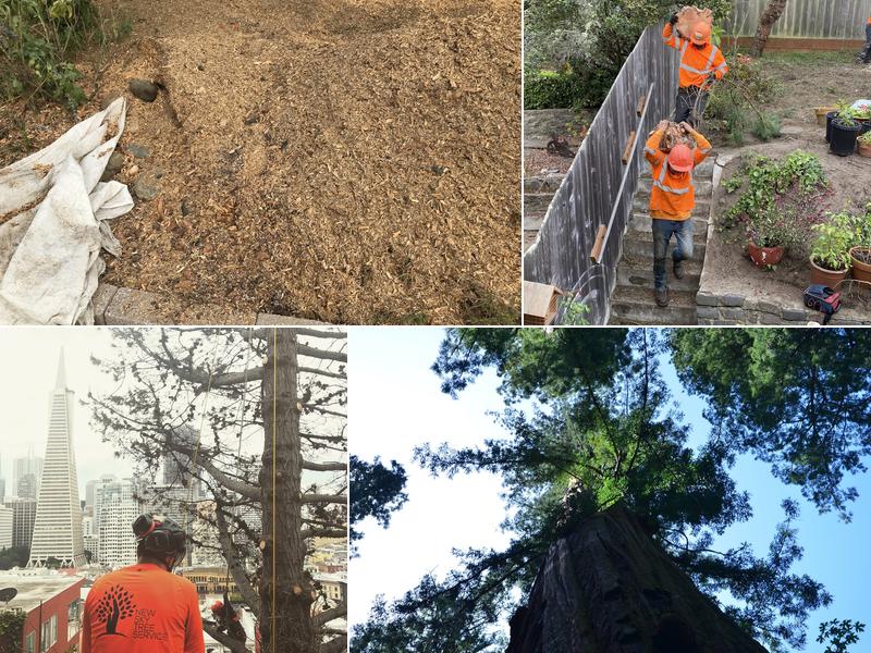 New Sky Tree Service