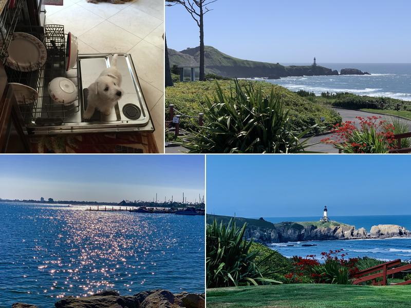 Back To Eden Landscape