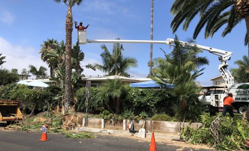 Rod's Tree Service, Inc.