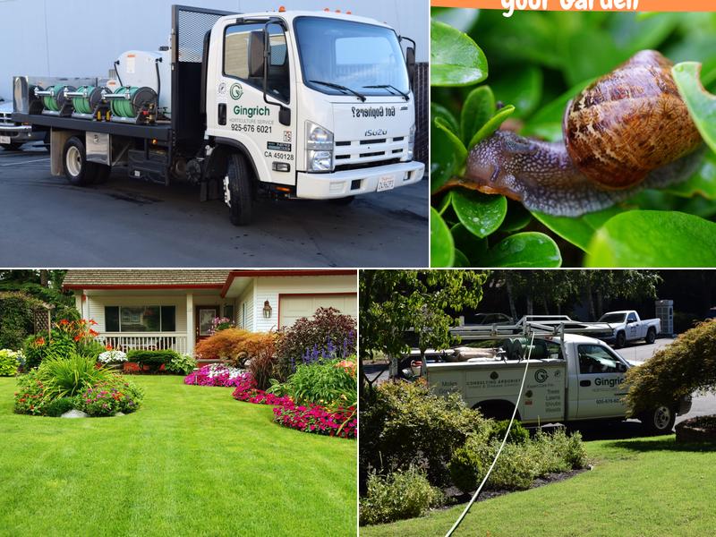 Gingrich Horticulture Service