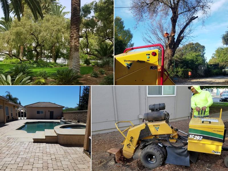 APES TREE SERVICE LLC