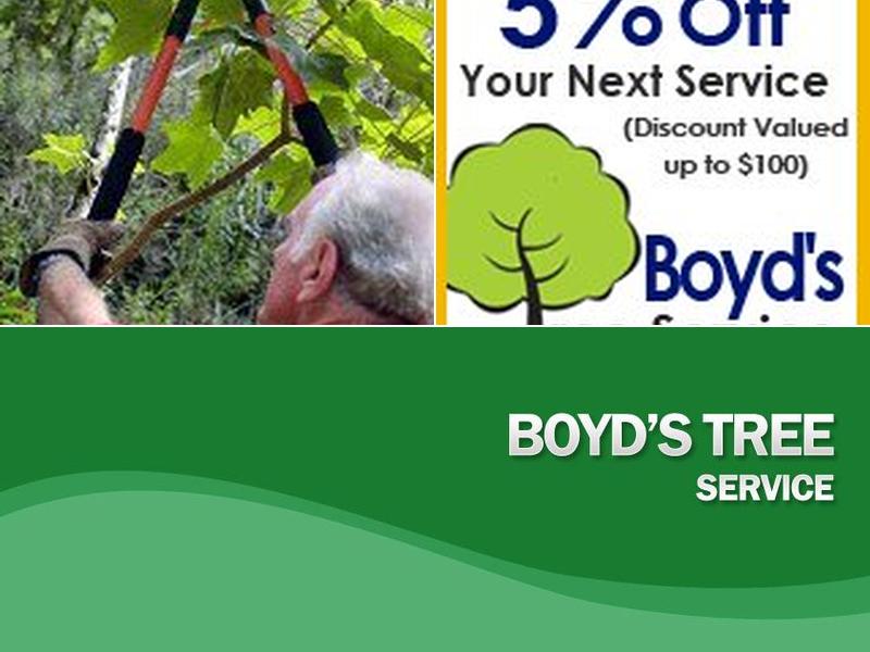 Boyd's Tree Services