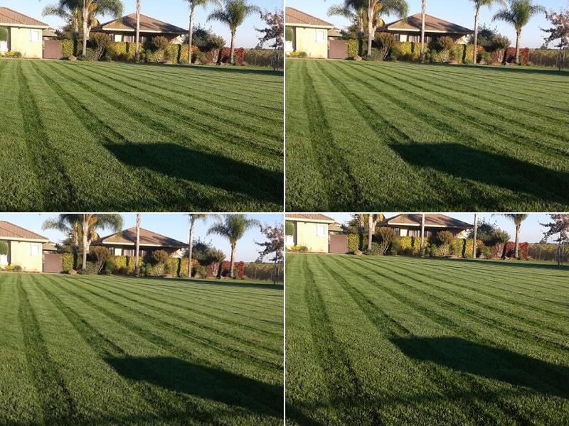 Tim's Lawn Maintenance