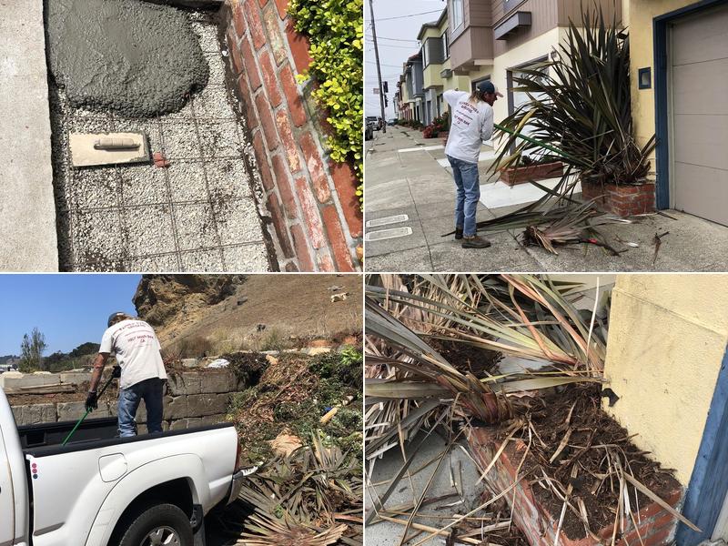 Flower Power Gardens