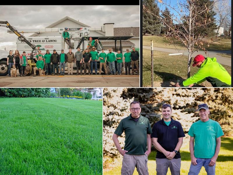 Jones Tree & Lawn, Inc.