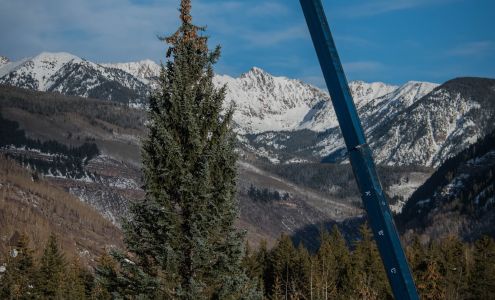 Old Growth Tree Service 248 Spring Creek Cir, Gypsum Colorado 81637