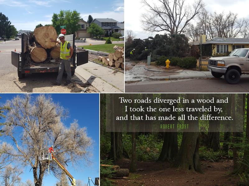 Advanced Tree Service, LLC