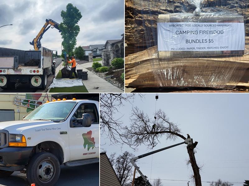 Arbortec Tree Service