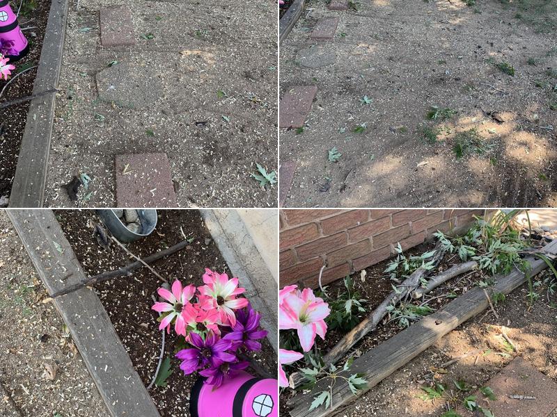 Grass Ninja Lawn Service