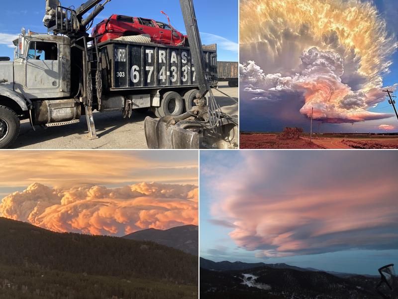 Sanford & Sons Hauling & Tree Service