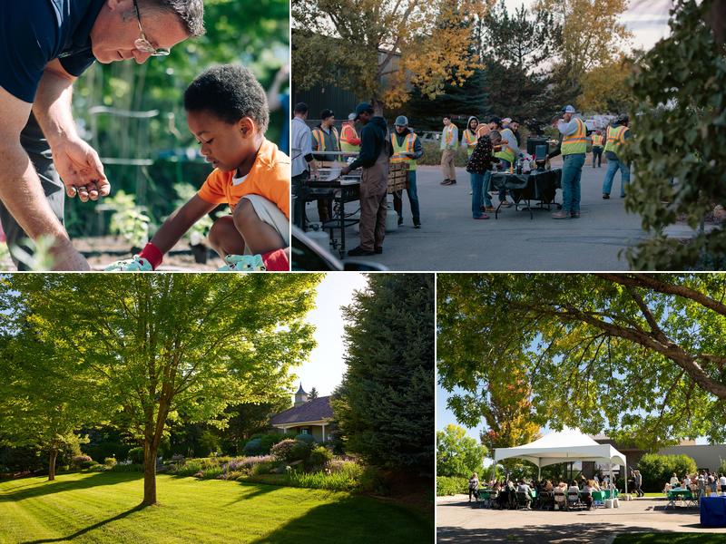 Designscapes Colorado Inc