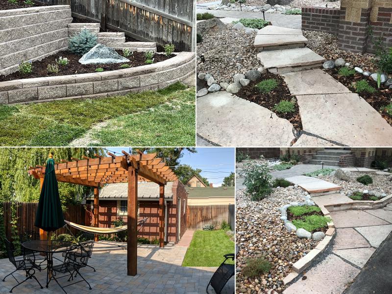 Evolution Landscape and Design