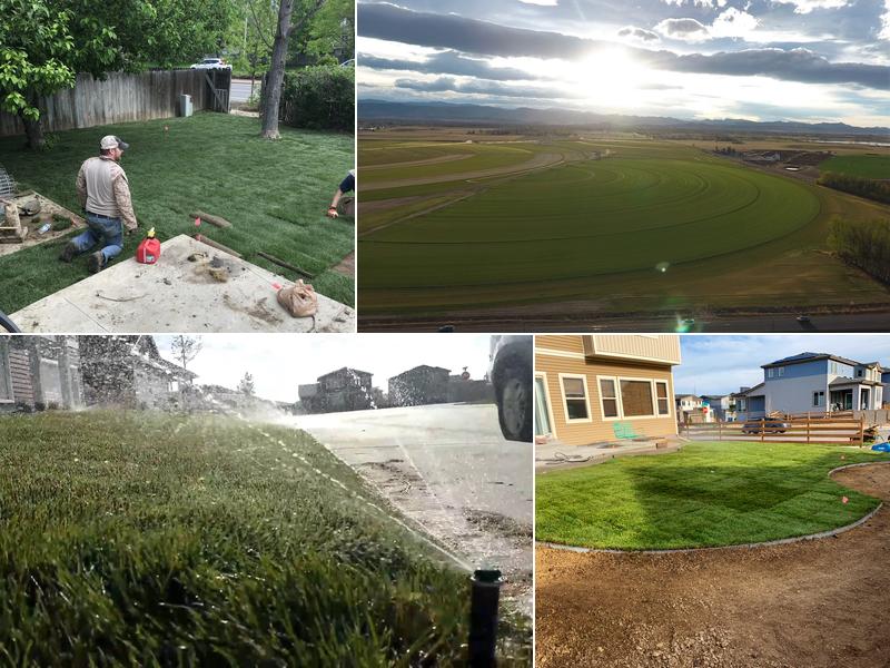 Turf Master Sod Farms