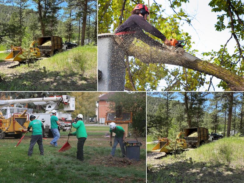 Top Notch Tree Service