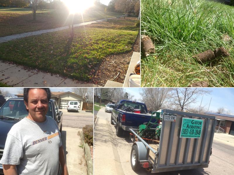 Gator Aerating & Sprinkler