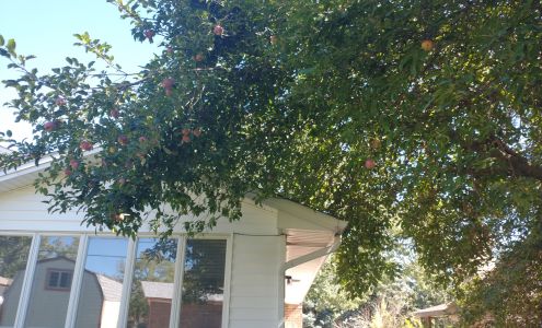 Robertson's Landscaping