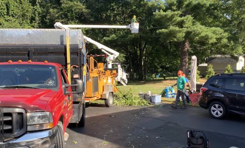 E Z Tree & Brush Removal LLC
