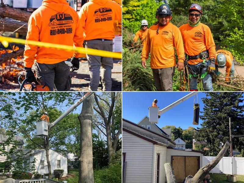 K&J Tree Service