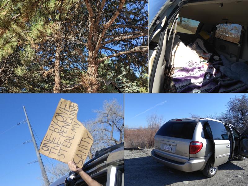 Correct Cut Tree Services