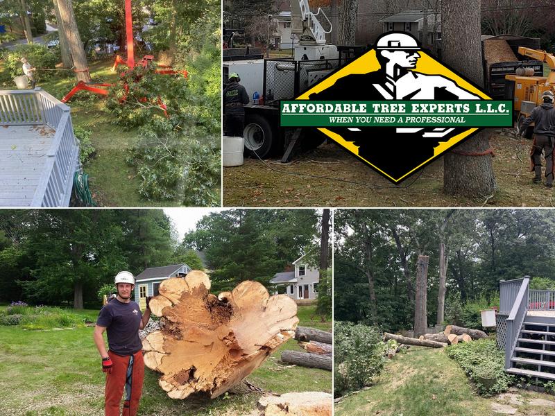 Affordable Tree Experts LLC