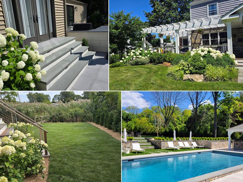 Design and Build landscape