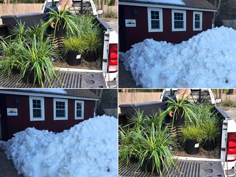 Creative Landscape Design