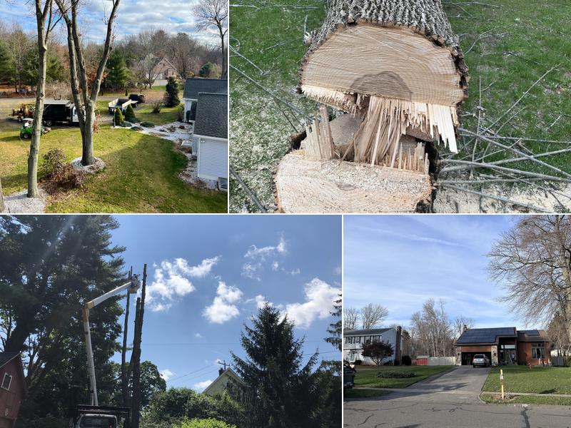 Adam's Tree Service LLC