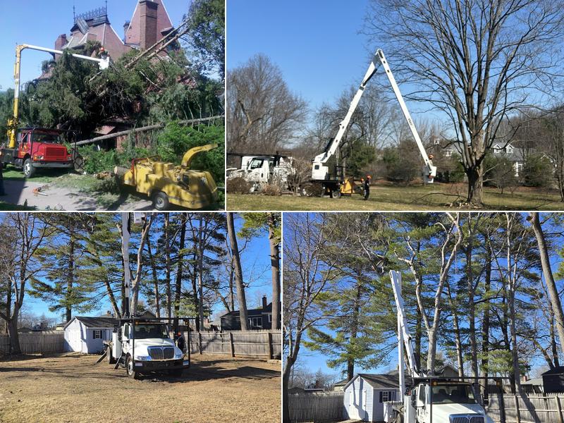 Sikes Tree Service LLC