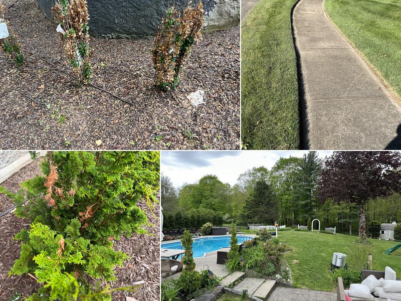 Collegiate Landscaping