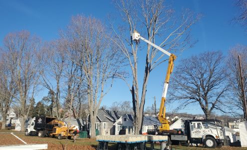 Fred's Tree Removal LLC