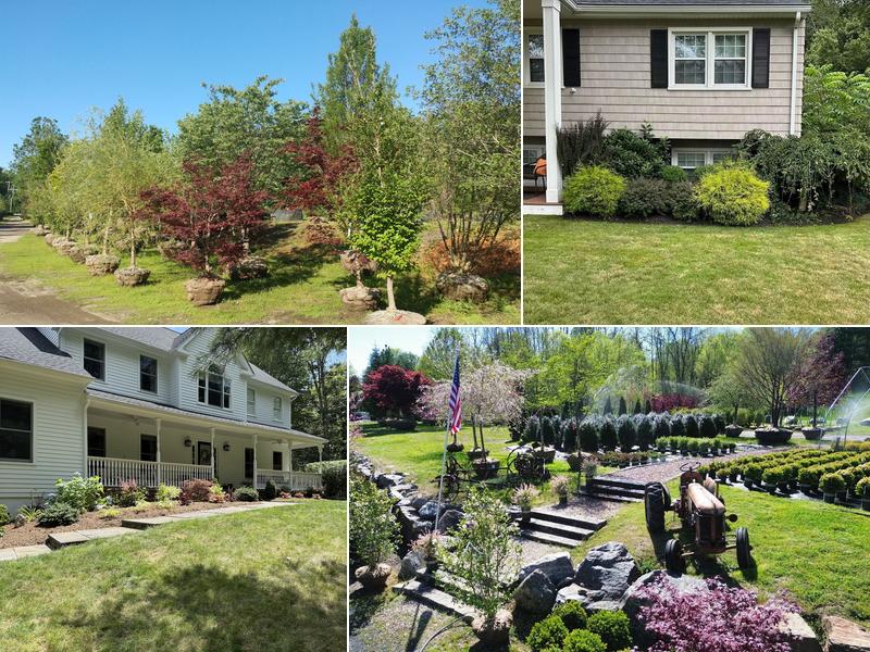 Young's at Three Rivers