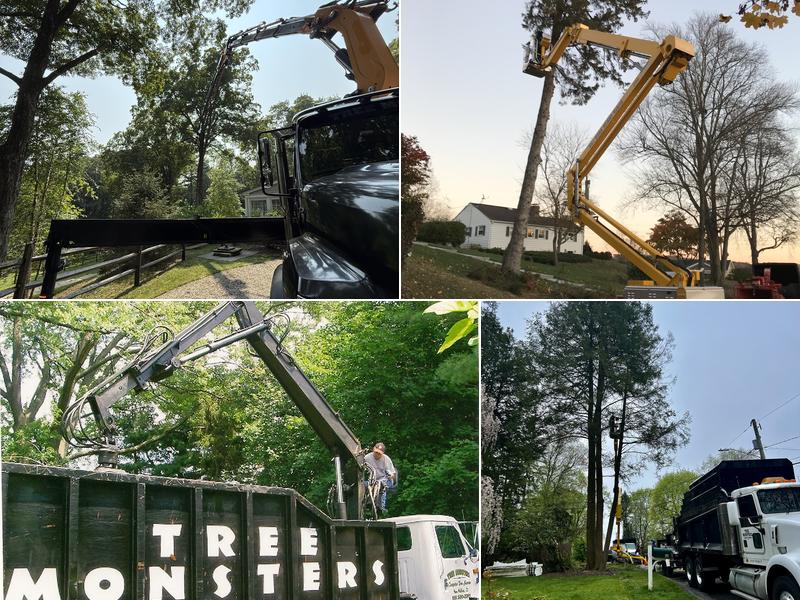 Tree Monsters Land Clearing