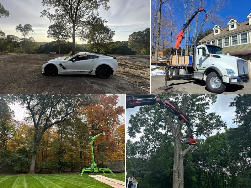 Bogan's Tree Service