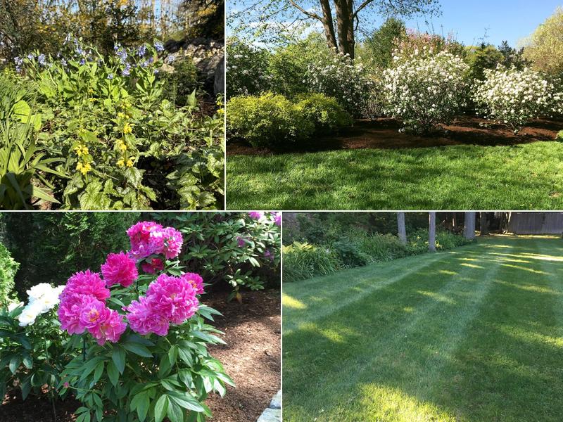 Tall Trees Landscaping