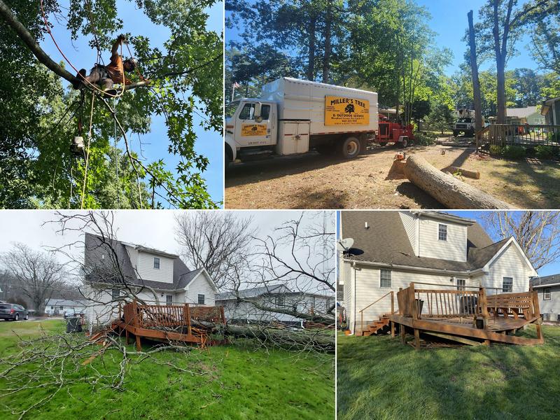 Miller's Tree And Outdoor Service