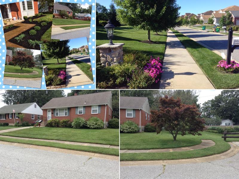 Penny Hill Lawn & Landscape