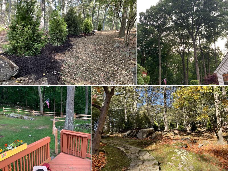 Exquisite Environments