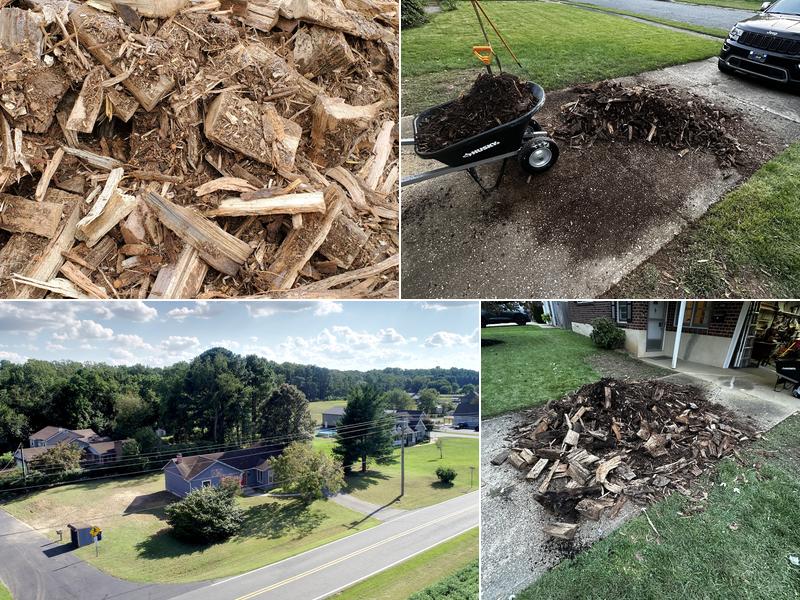 Mitsdarfer Bros. Tree Service