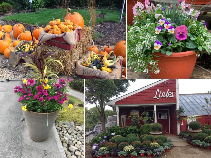 Lucente Nursery (Formerly Liebs Nursery)