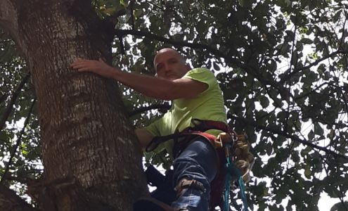 Steve Morgan Tree Service 17395 Street Lawrence Drive, Dunnellon Florida 34432